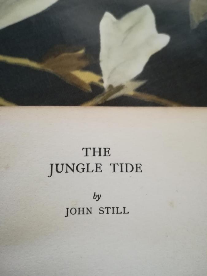 Jungle Tide Bed and Breakfast Κάντι Εξωτερικό φωτογραφία