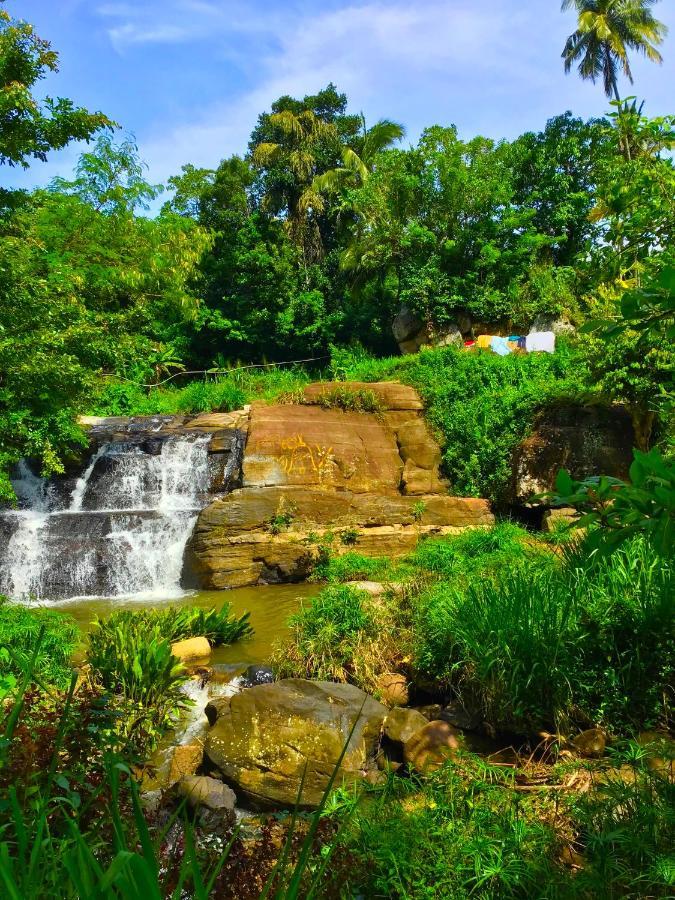 Jungle Tide Bed and Breakfast Κάντι Εξωτερικό φωτογραφία