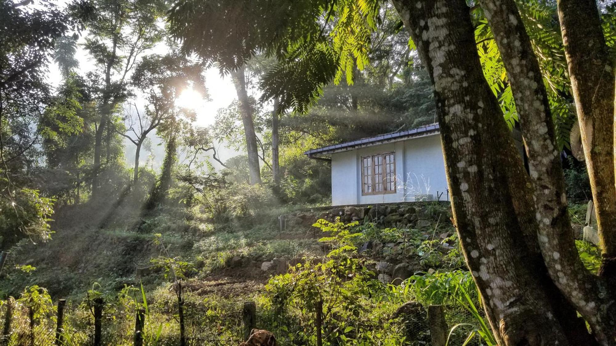 Jungle Tide Bed and Breakfast Κάντι Εξωτερικό φωτογραφία