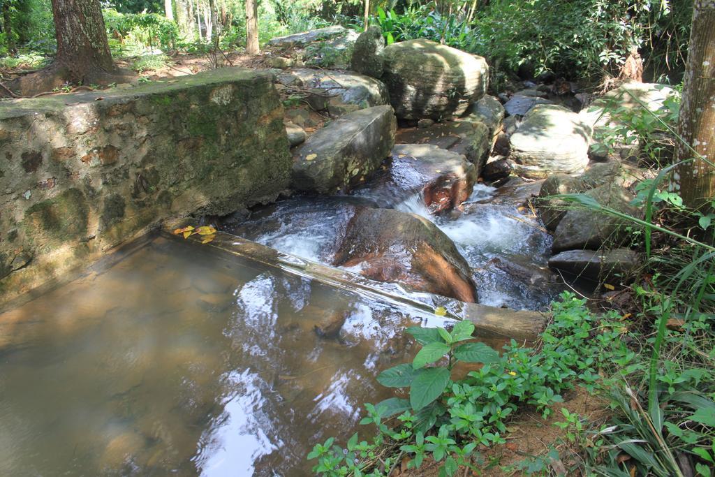 Jungle Tide Bed and Breakfast Κάντι Εξωτερικό φωτογραφία